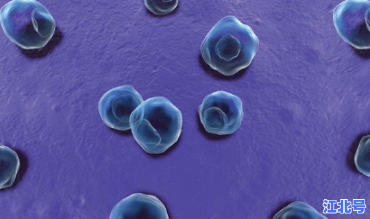 长沙核酸阳性(沙眼衣原体核酸阳性是什么病)