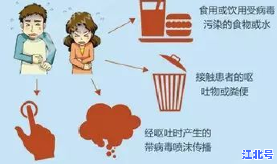 大连新型病毒，诺如病毒