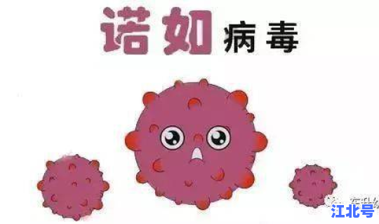 韩国的病毒感染？诺如病毒感染