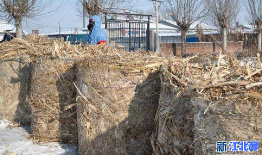 黑龙江绥化望奎有疫情吗今天，绥化望奎县最新疫情