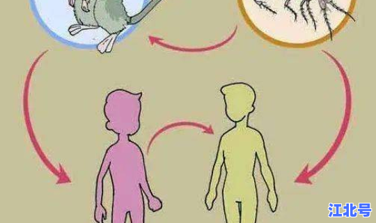 鼠疫死亡总人数？历史鼠疫死亡人数