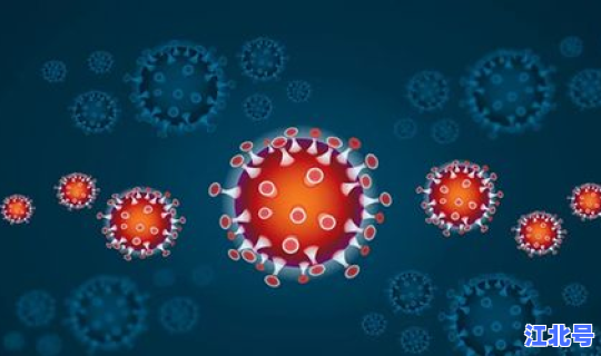 29人感染新病毒 新型病毒的症状是怎样的？