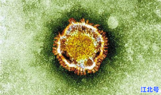 永康有新冠状病毒感染者，新型冠状病毒有什么症状