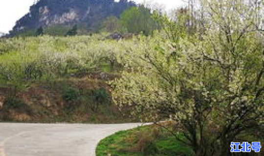 葛仙山风景区票价查询？彭州葛仙山门票