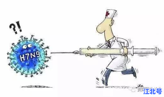 h7n9禽流感属于类型，h7n9属于什么类型