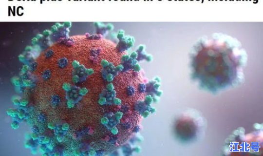 津南疫情奥密克戎病毒(奥密克戎属于什么病毒)