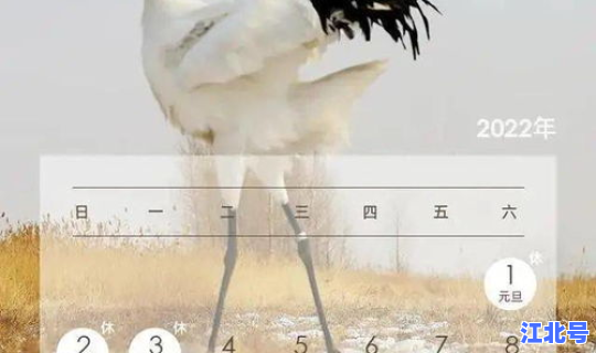 端午节放假2022年放几天 2022年是几月几号过大年