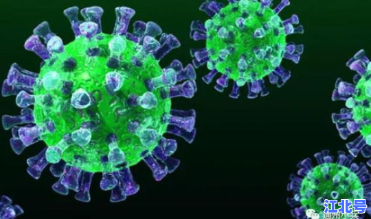 满洲里最新病毒感染2020 最新流行病毒最新消息