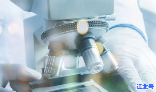 核酸检测最新消息(hiv核酸检测准确率)