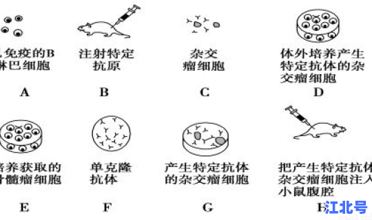 核酸检测最新消息(核酸检测hiv有没有意义)