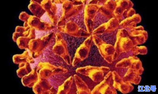 美国新型病毒感染人疫情(病毒感染症状有哪些)