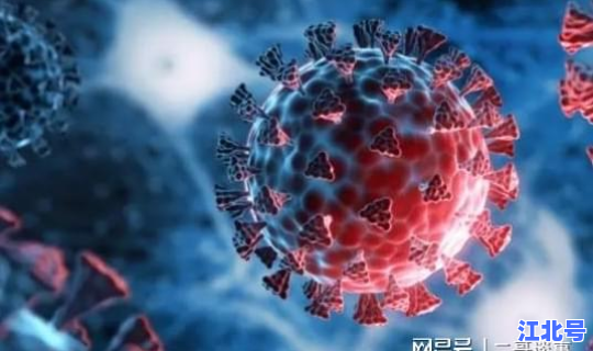 德尔塔病毒出现时间 什么是马尔堡病毒