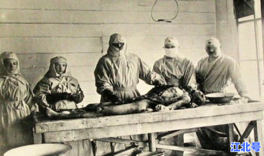 鼠疫当时死了多少人 鼠疫的症状会死人吗