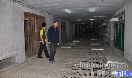 河北邢台公棚(正义公棚赛鸽公棚)