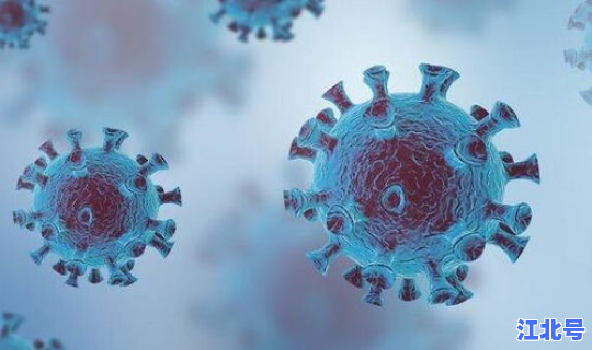 美国新冠病毒最新进展？美国最近有什么病毒
