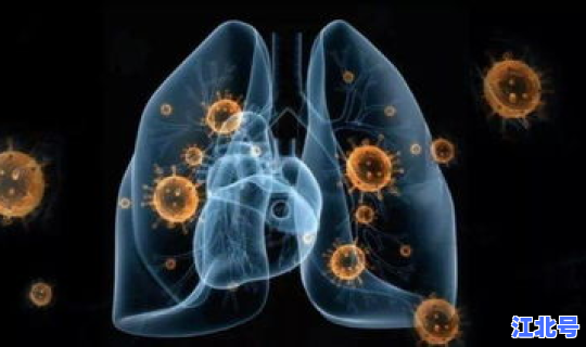 辽宁抚顺新型肺炎最新疫情，新肺炎病毒