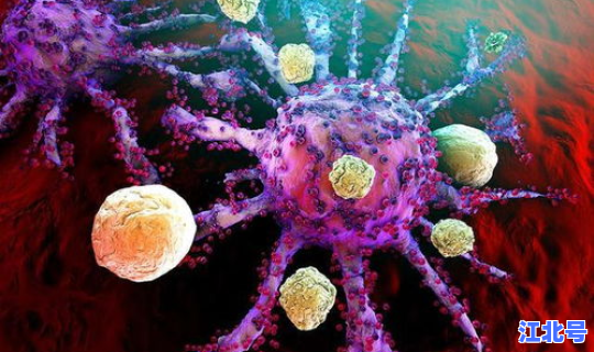 广州感染了多少人新冠病毒 冠形病毒