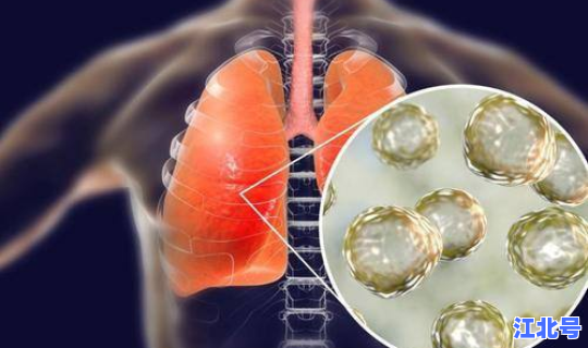 北京一家感染冠状病毒的企业，北京最近传染的病毒叫什么