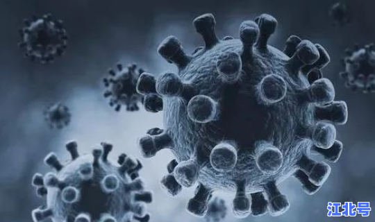 武汉疫情的第一个发现的人(疫情爆发)