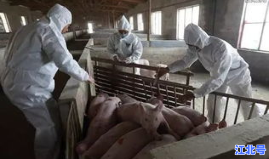 莆田疫情现在严重吗(莆田新的疫情最新消息)