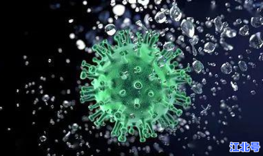 上海新冠肺炎死亡率高吗？肺炎死亡