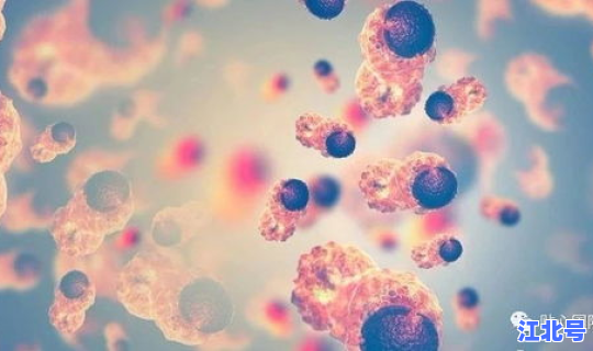 河南多地出现这种病毒的原因是什么，河南最近是有一种传染病吗