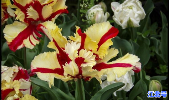 2020年10月26号老黄历，2021年10月13