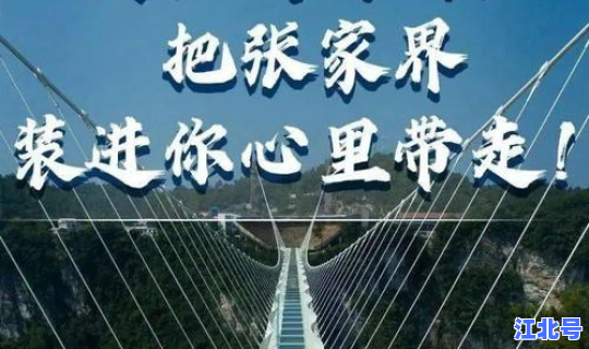 张家界 疫情来源，疫情是怎么引起的