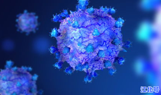 湛江役情最新消息今天，中国尼帕病毒最新消息