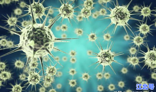 新冠病毒那里最厉害了，最近什么病毒这么厉害
