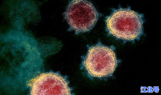 新冠病毒啥时候过去啊(冠形病毒)
