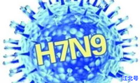 新疆最新疫情消息全疆封城了吗，最新禽流感疫情消息