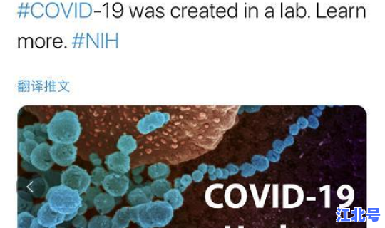 美国新冠超2000万(美国研究新冠病毒是真的吗)