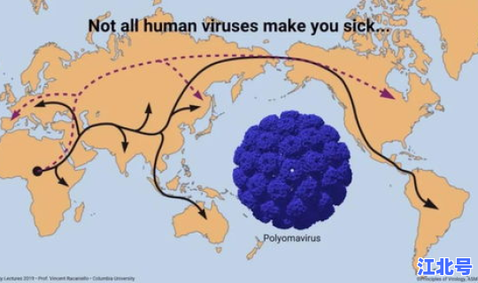 新疆新冠病毒源来自哪里(新冠疫情发源地到底在哪)