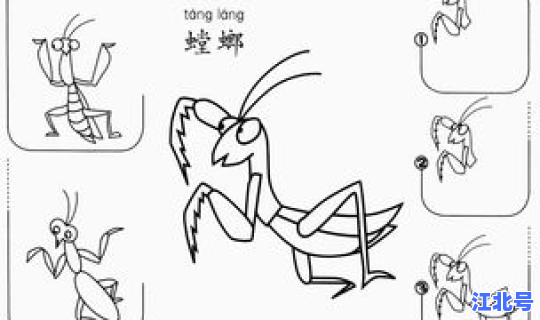 疫情漫画简笔画四幅？美术四格漫画简单