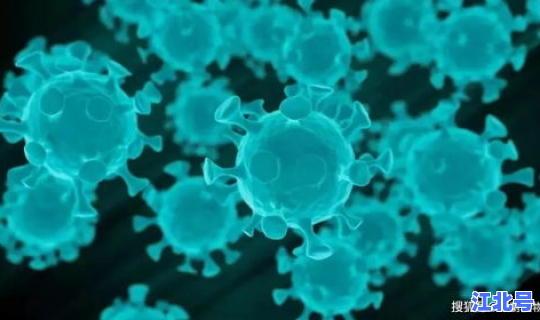 大连疫情病毒？诺如病毒传播途径