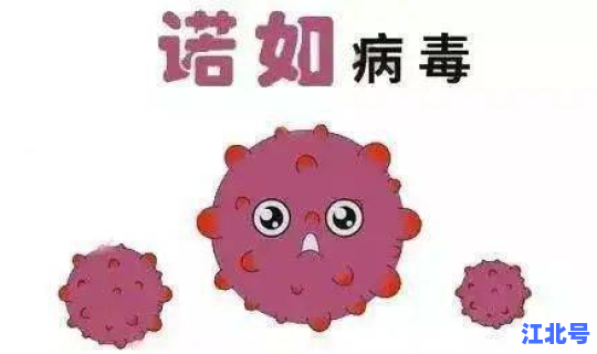 江苏疫情的病毒？诺如病毒传播途径