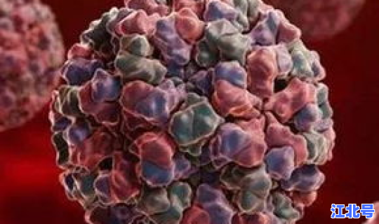 山东爆发病毒，最近爆发什么病毒感染