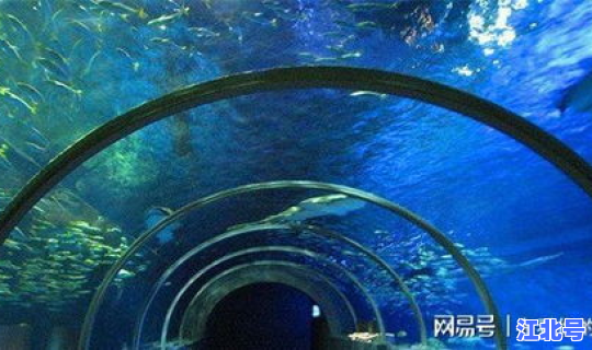 烟台到大连船票预定 烟台到大连海底隧道