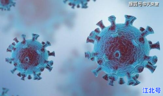 新冠病毒最早出现的时间和地方，新冠是什么时候发现的