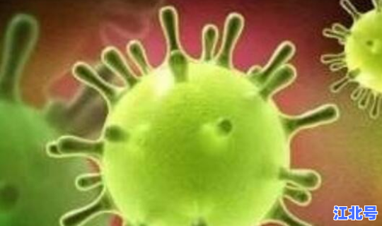 广西新增新冠状病毒感染最新消息，人冠状病毒