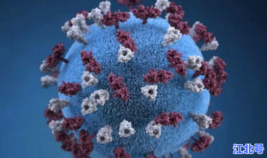 新型冠状美国最新消息，新冠病毒真的是美国研究的吗？