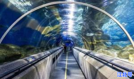 烟台飞大连的航班最新消息查询，大连烟台海底隧道最新消息