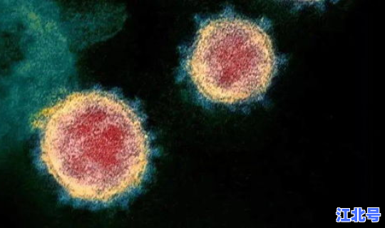 新冠病毒消失了吗2024，新型冠状病毒属于什么病毒