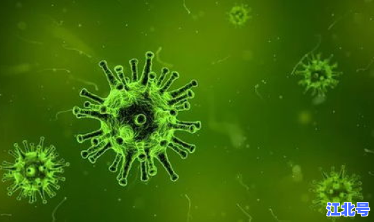 多少人感染病毒，人体有多少细菌和病毒