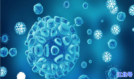 最新出现病毒(现在的病毒)