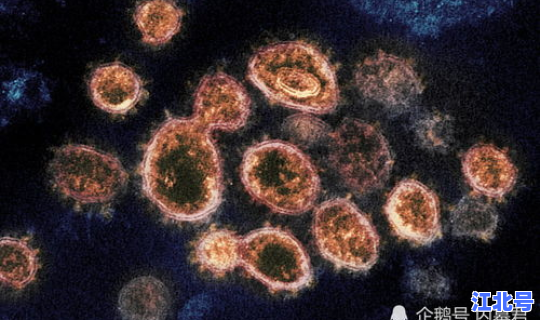 第1个感染新冠肺炎病毒的人是谁?第一个发现新型冠状病毒的人 第1个感染新冠肺炎病毒的人是谁?第一个发现新型冠状病毒的人