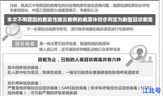 武汉出现一例不明原因肺炎(武汉出了什么病毒)