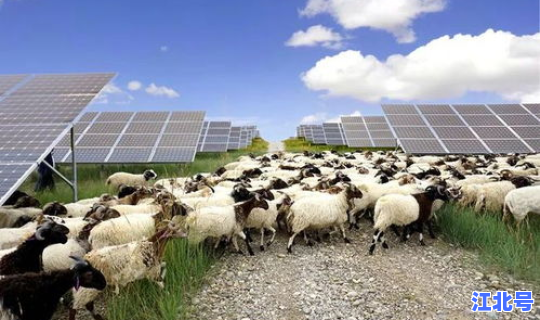 美国新增光伏？美国光伏公司有哪些