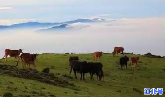 江西属不属于疫情重灾区 今年疫情为什么这么严重